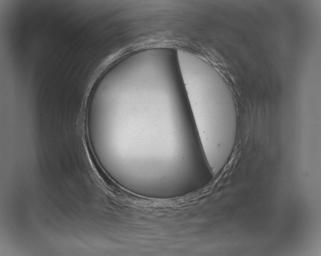 X0000070160003200605260951