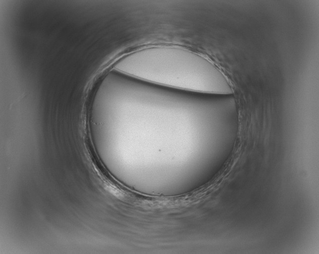 X0000070160005200605260951