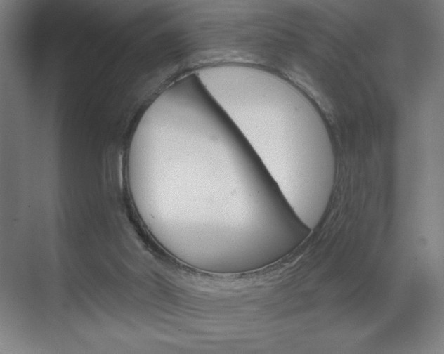 X0000070160014200605260950