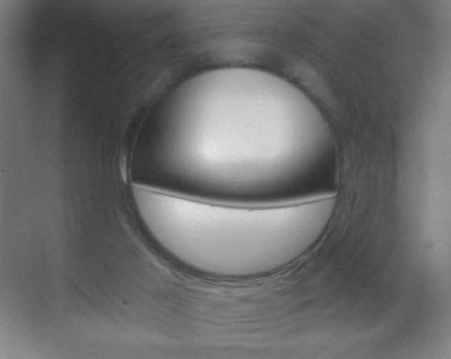 X0000070160021200605260950