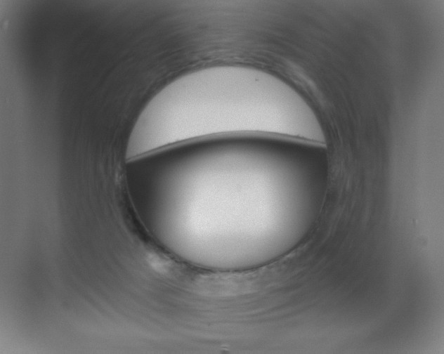 X0000070160025200605260950