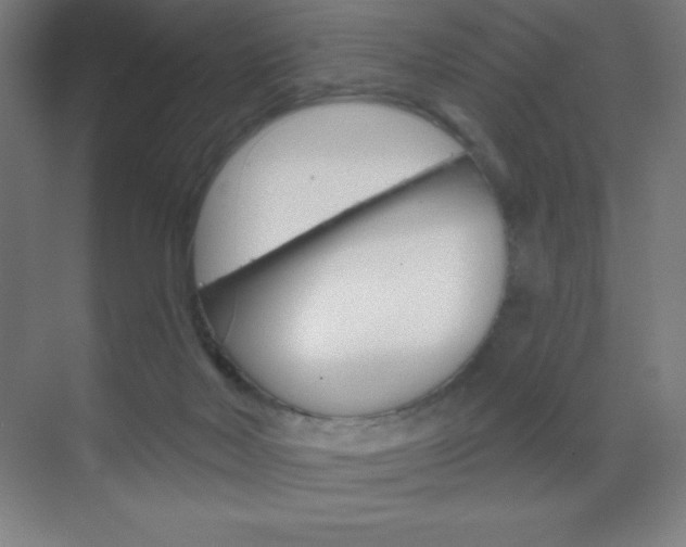 X0000070160026200605260950