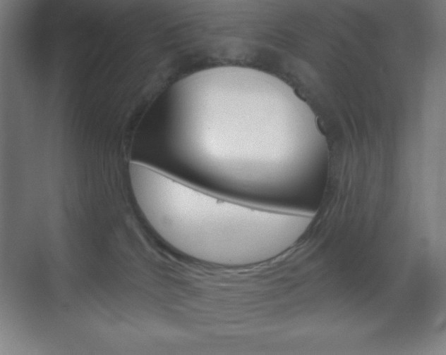 X0000070160040200605260950