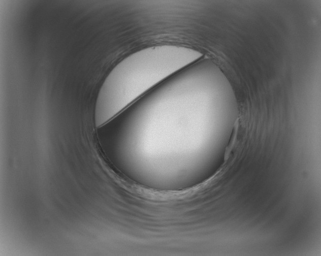 X0000070160047200605260950