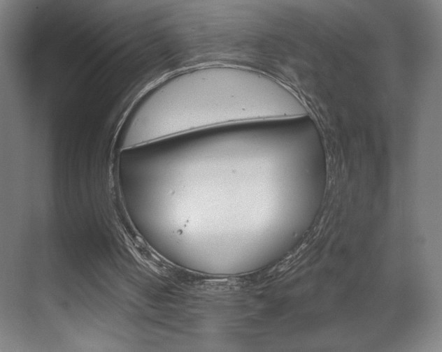 X0000070160050200605260949