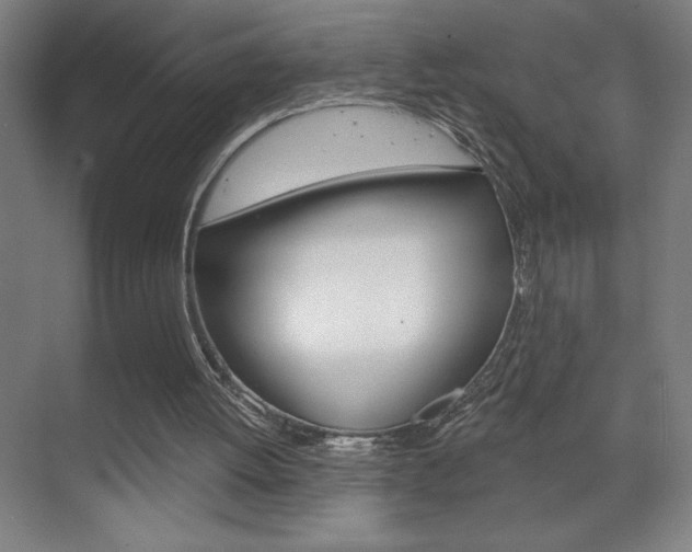 X0000070160052200605260949