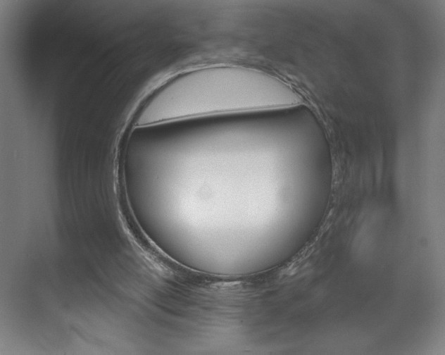 X0000070160054200605260949