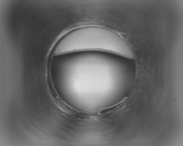 X0000070160056200605260949