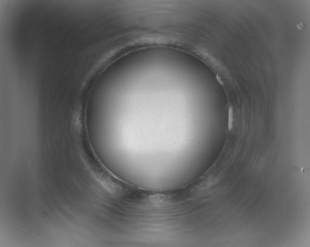 X0000070160064200605260949