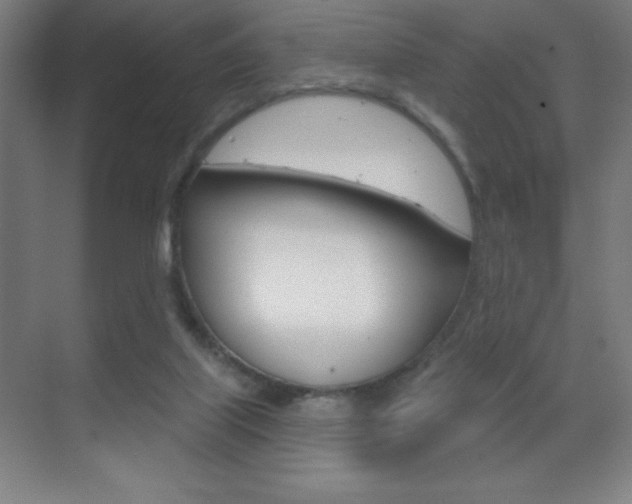 X0000070160067200605260949