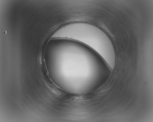X0000070160068200605260949