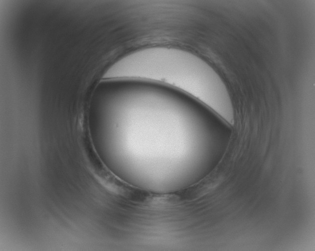 X0000070160072200605260949