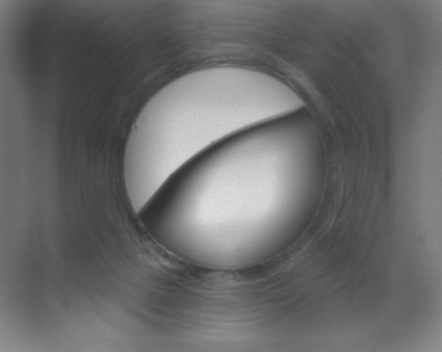 X0000070160073200605260949