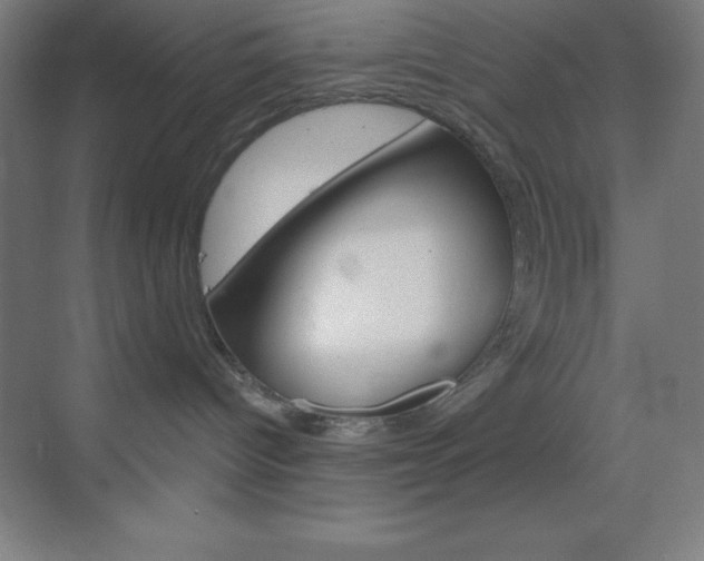 X0000070160096200605260950