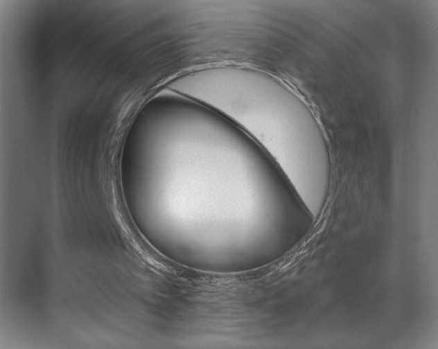 X0000070160097200605260949