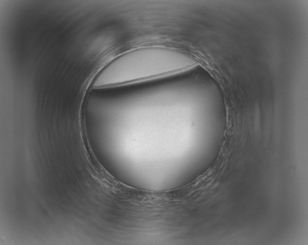 X0000070160099200605260949
