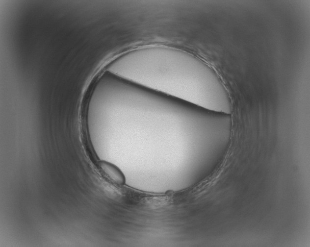 X0000070160102200605260949