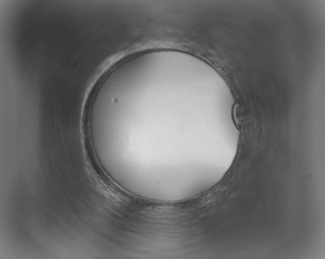 X0000070160104200605260949