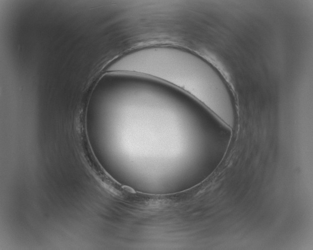 X0000070160105200605260949