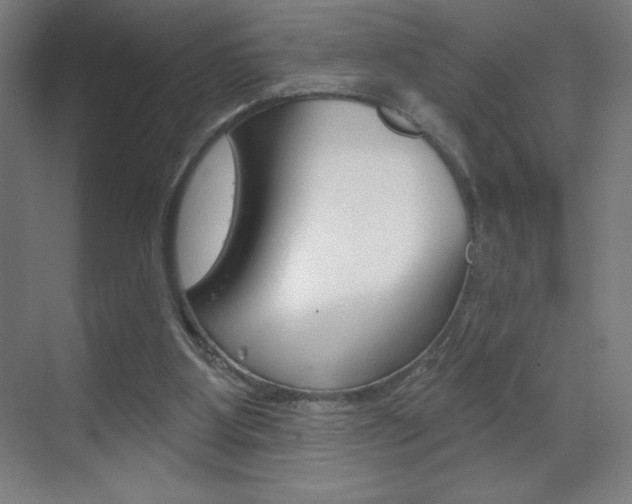 X0000070160107200605260949