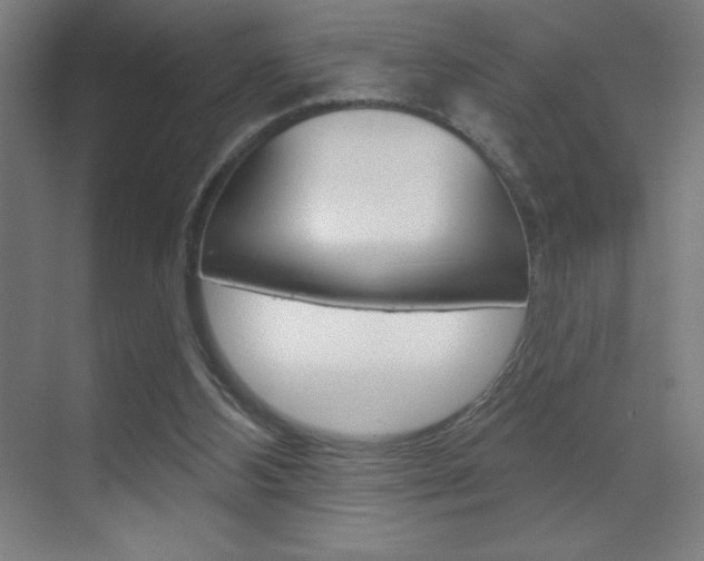 X0000070160108200605260949