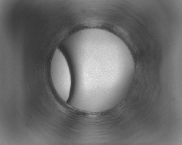 X0000070160114200605260949