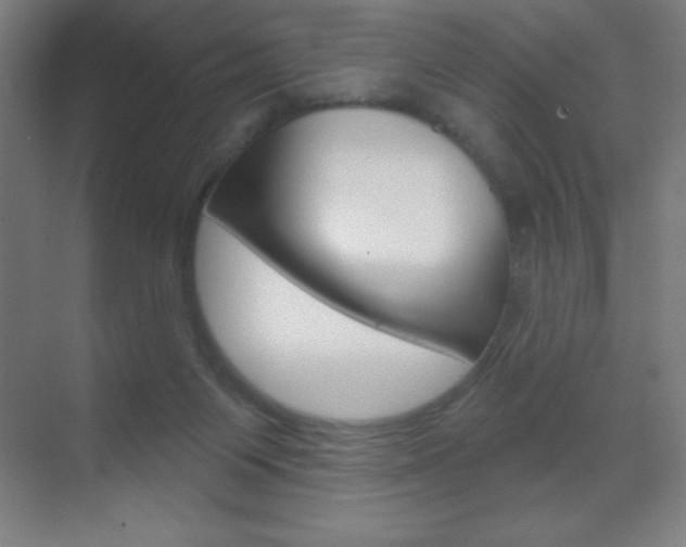 X0000070160119200605260949