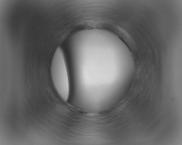 X0000070160121200605260949