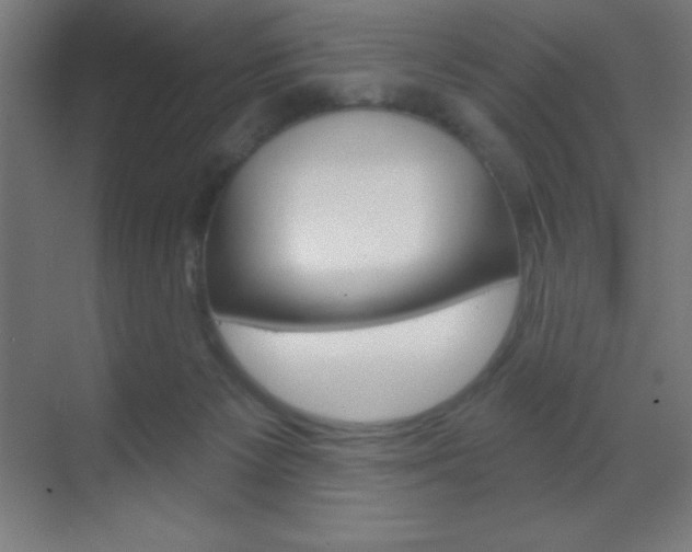 X0000070160125200605260948