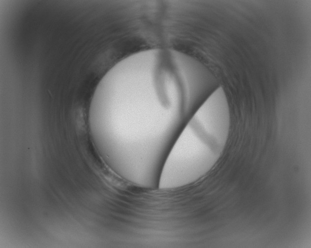 X0000070160130200605260948