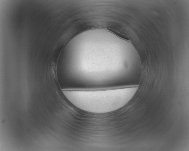 X0000070160141200605260948