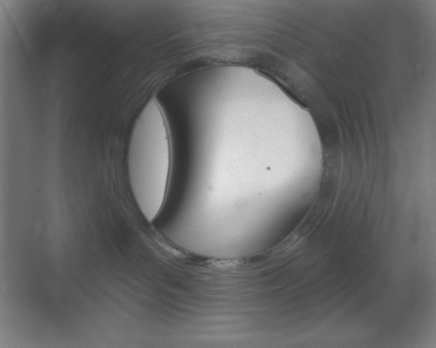 X0000070160143200605260948