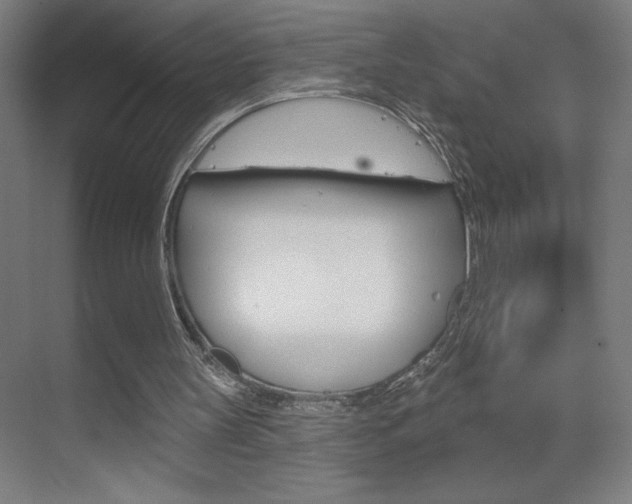 X0000070160147200605260947