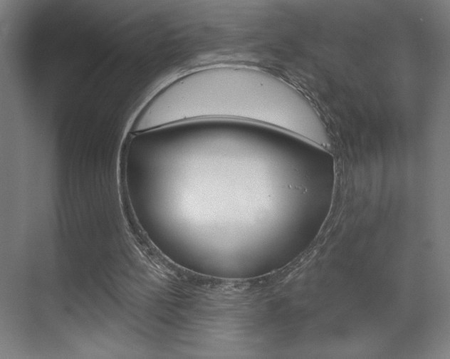 X0000070160148200605260947