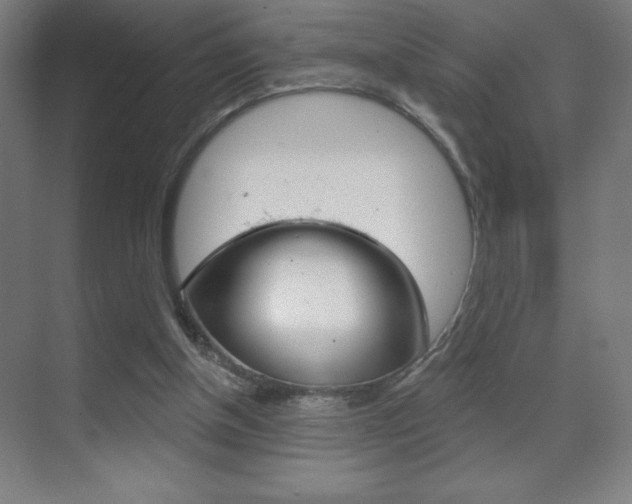 X0000070160154200605260948