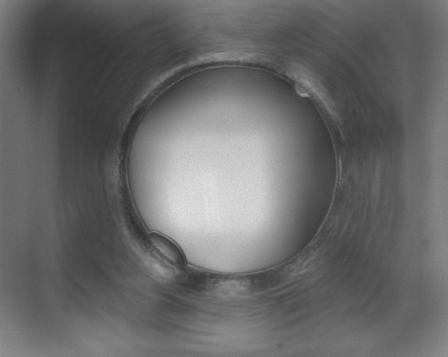 X0000070160156200605260948