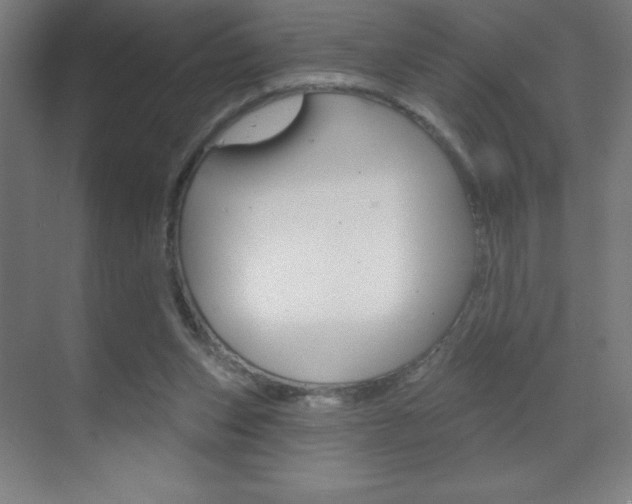 X0000070160159200605260948
