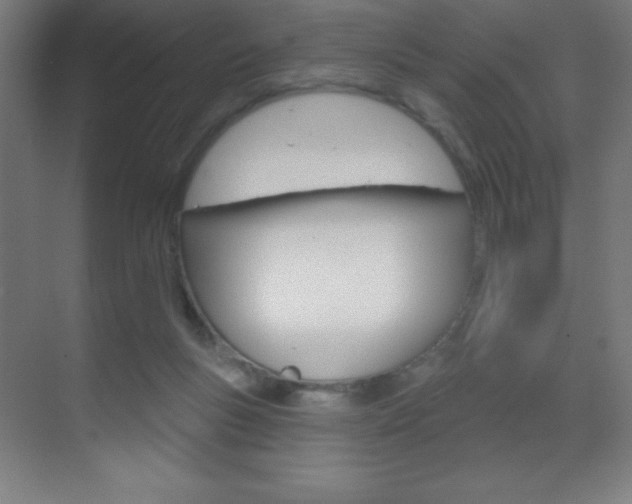 X0000070160167200605260948