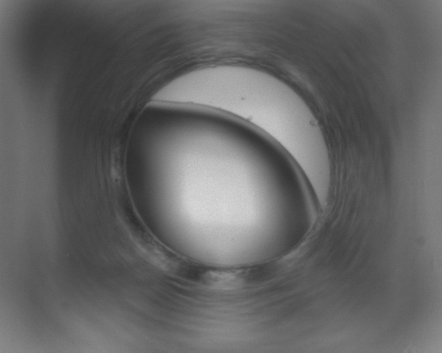 X0000070160170200605260948
