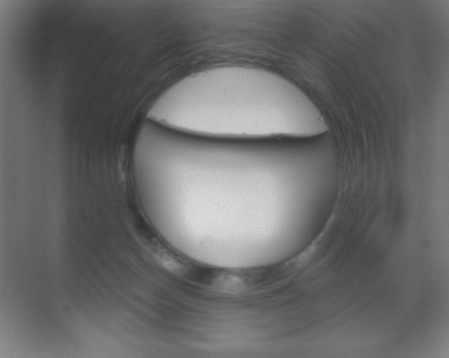 X0000070160174200605260948