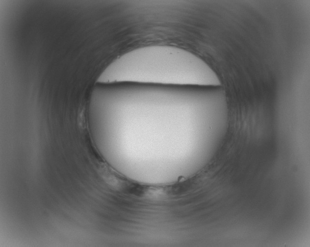 X0000070160177200605260948