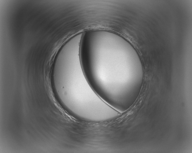 X0000070160193200605260947