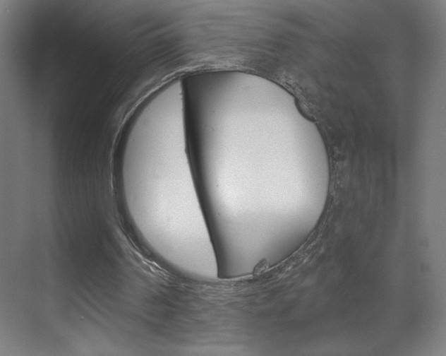 X0000070160194200605260947
