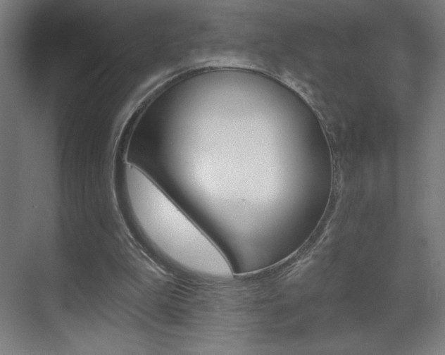 X0000070160199200605260947