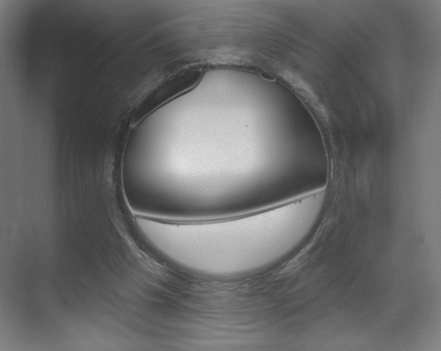 X0000070160201200605260947