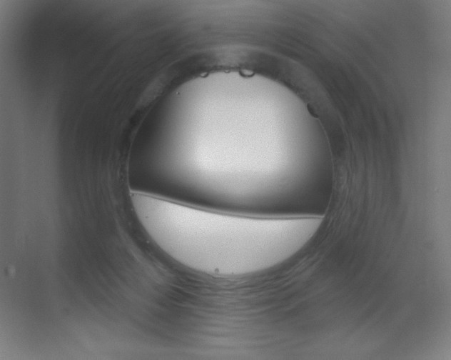 X0000070160216200605260947