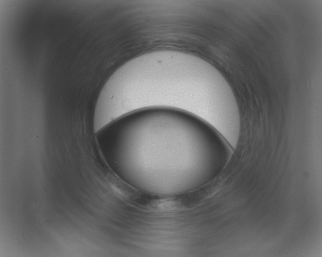 X0000070160219200605260947