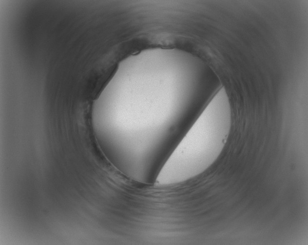 X0000070160229200605260947