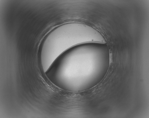 X0000070160243200605260946