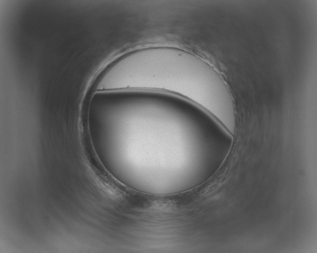 X0000070160248200605260946
